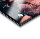 Nevada wild 2 Acrylic print