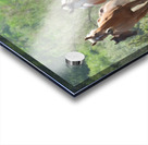 Nevada wild 2 1 Acrylic print