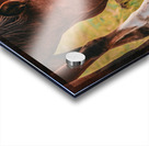 Nevada wild 1 1 Acrylic print