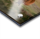 Nevada wild  Series VR1 2 Acrylic print