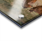 Nevada wild  Series VR1 2 Acrylic print