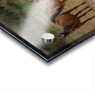 Nevada wild  Series VR1 3 Acrylic print