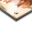 Nevada Mustang Series 15 1 Acrylic print