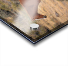 Nevada Mustang Series 16 1 Acrylic print