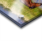 Nevada Mustang 1 1 Acrylic print