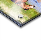 Nevada Mustang 1 2 Acrylic print