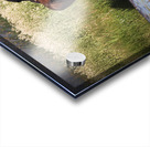 Nevada Mustang 1 5 Acrylic print