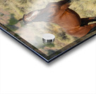 Nevada Mustang 2 2 Acrylic print