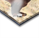 Nevada Mustang 2 3 Acrylic print