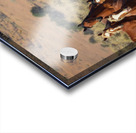 Nevada Mustang 2 5 Acrylic print