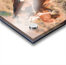 Nevada Mustang 2 6 Acrylic print