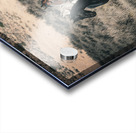 Nevada Mustang 3 1 Acrylic print