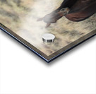 Nevada Mustang 3 2 Acrylic print