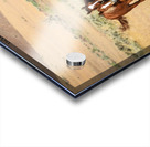 Nevada Mustang 3 3 Acrylic print