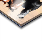 Nevada Mustang 3 5 Acrylic print