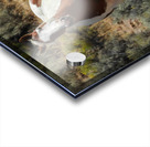 Nevada Mustang 3 6 Acrylic print