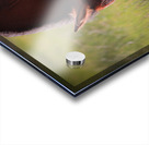 Nevada Wild 13 1 Acrylic print