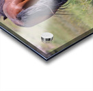 Nevada Wild 14 1 Acrylic print