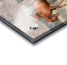 Nevada Wild 15 1 Acrylic print