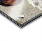 Nevada Wild 165 1 Acrylic print