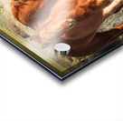 Nevada Wild 165 1 Acrylic print