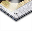 Nevada Wild 165 1 Acrylic print