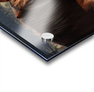 Nevada Wild 165 1 Acrylic print