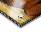 Nevada Wild 165 1 Acrylic print