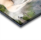 Nevada Wild 165 1 Acrylic print