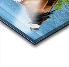 Nevada Wild 165 1 Acrylic print