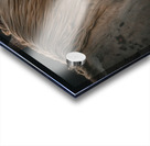 Nevada Wild 165 1 Acrylic print