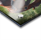 Nevada Wild 165 1 Acrylic print