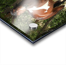 Nevada Wild 165 1 Acrylic print