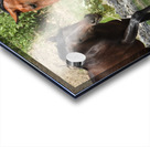 Nevada Wild 165 1 Acrylic print