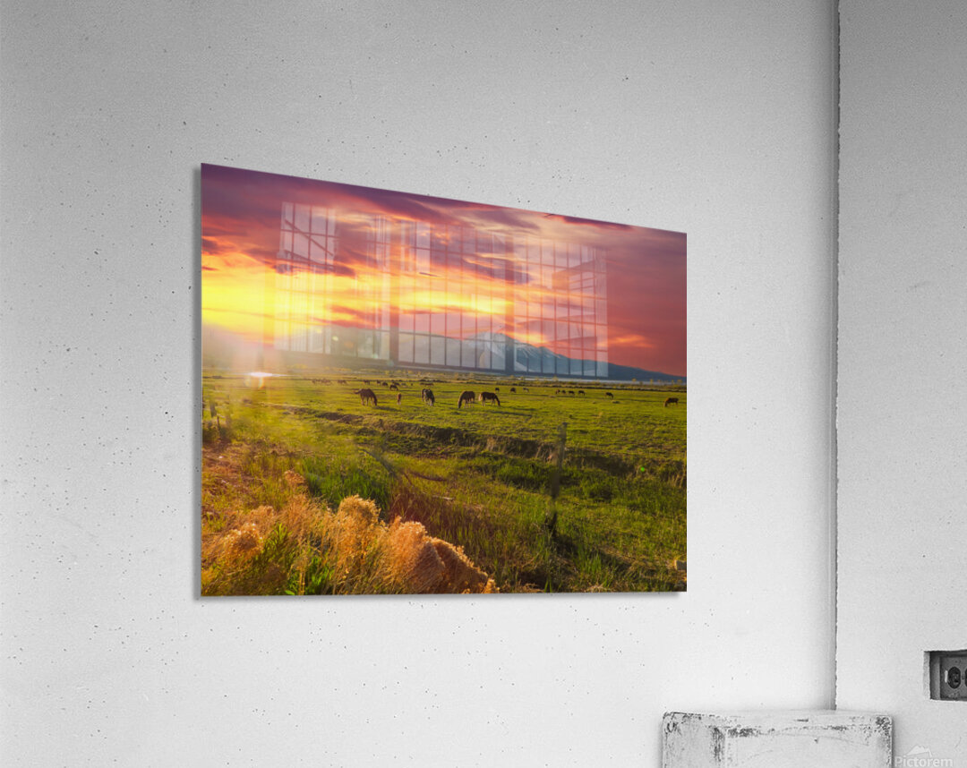 The Best Day Acrylic Print