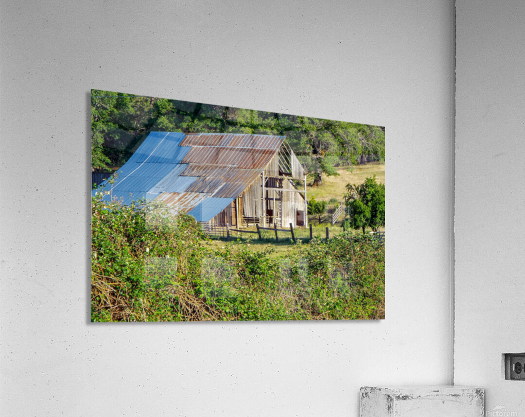 Barn Life Acrylic Print