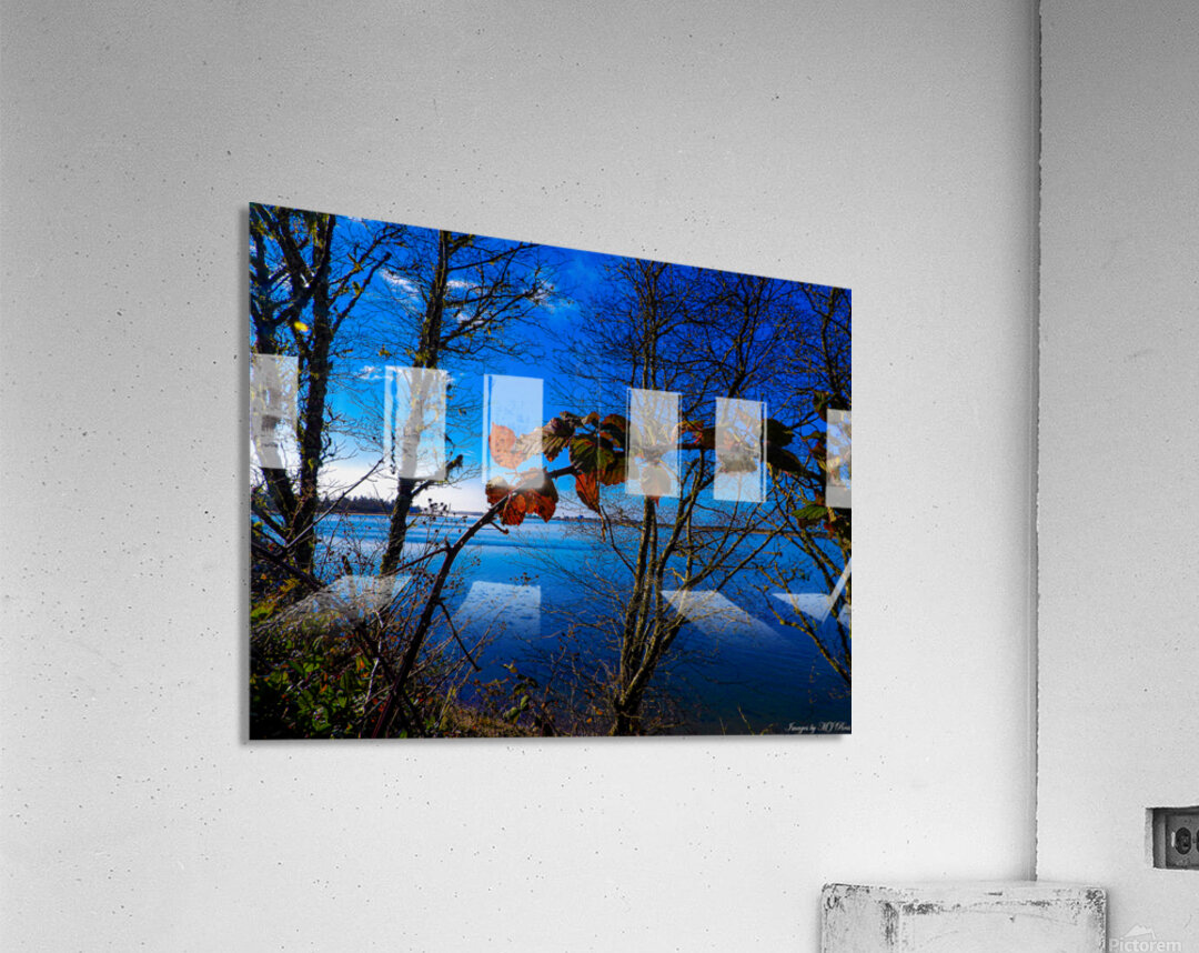 Oregon Coast 3 Acrylic Print