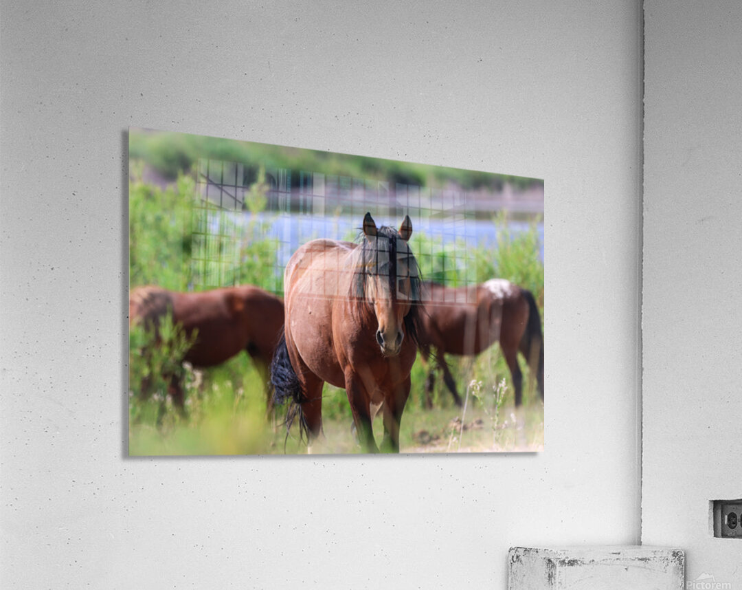 Nevada Virginia Range Series Acrylic Print