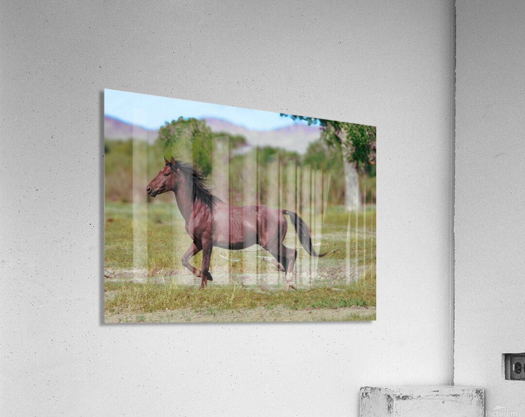 Nevada Virginia Range Series 3 Acrylic Print