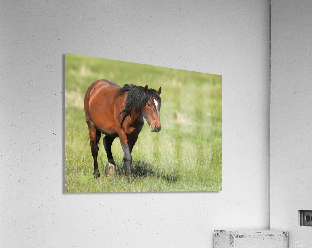 Nevada Virginia Range Series 4 Acrylic Print