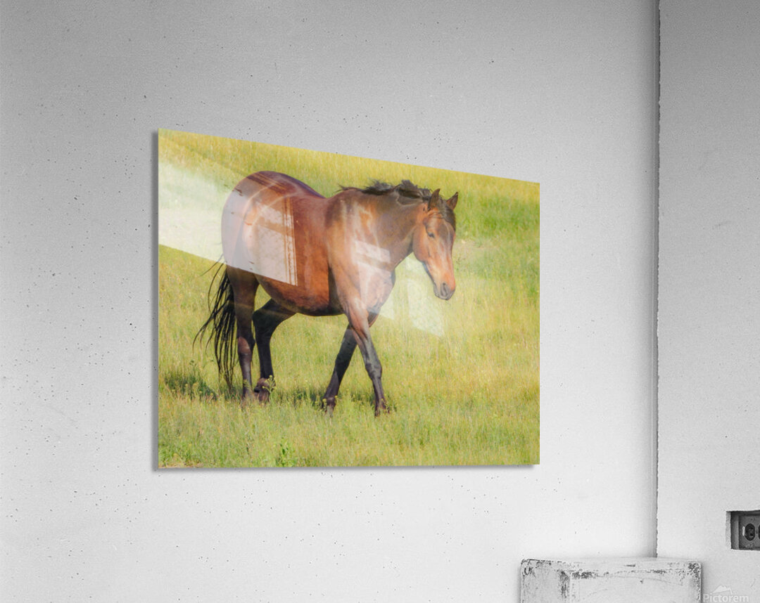 Nevada Virginia Range Series 6 Acrylic Print