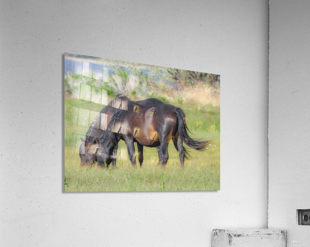 Nevada Virginia Range Series 7 Acrylic Print