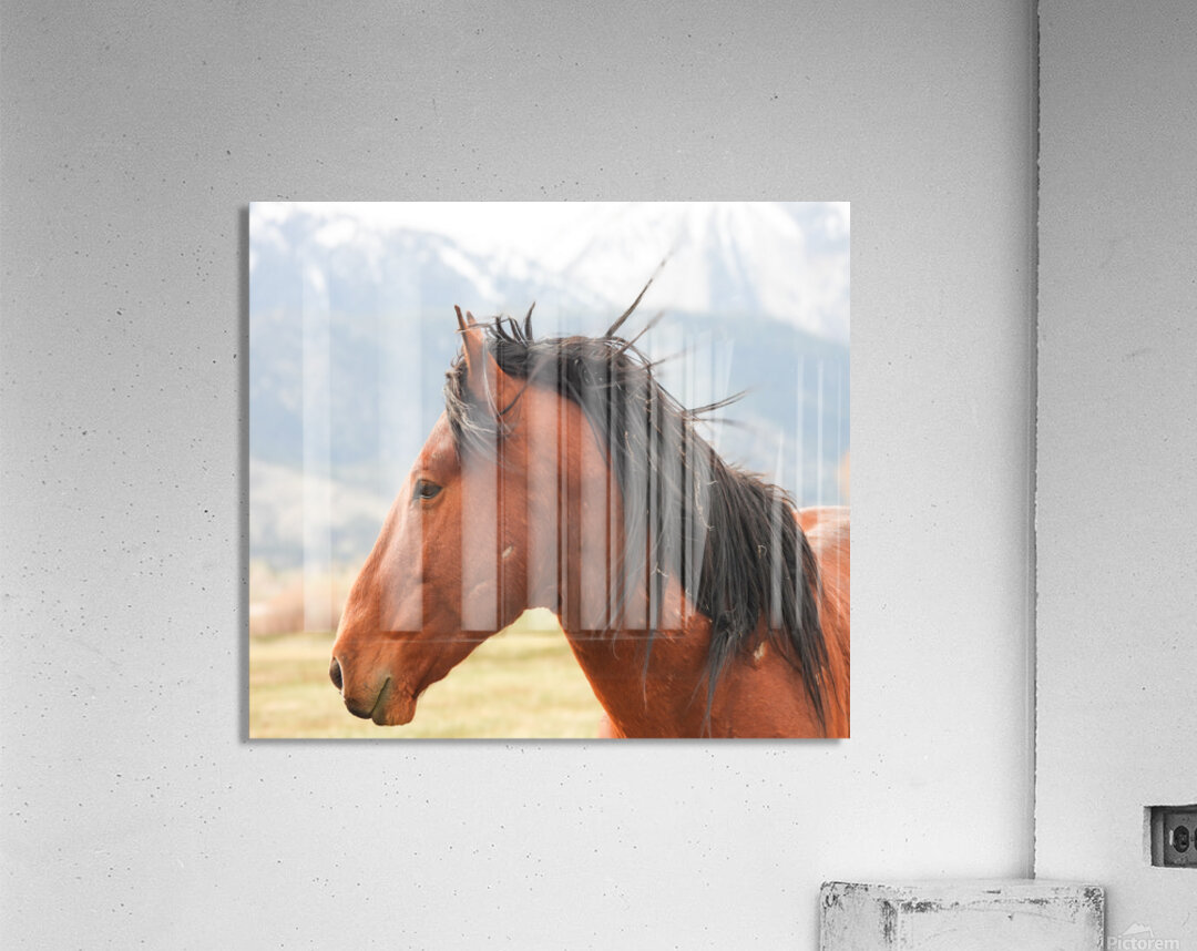 Nevada Virginia Range Series 10 Acrylic Print