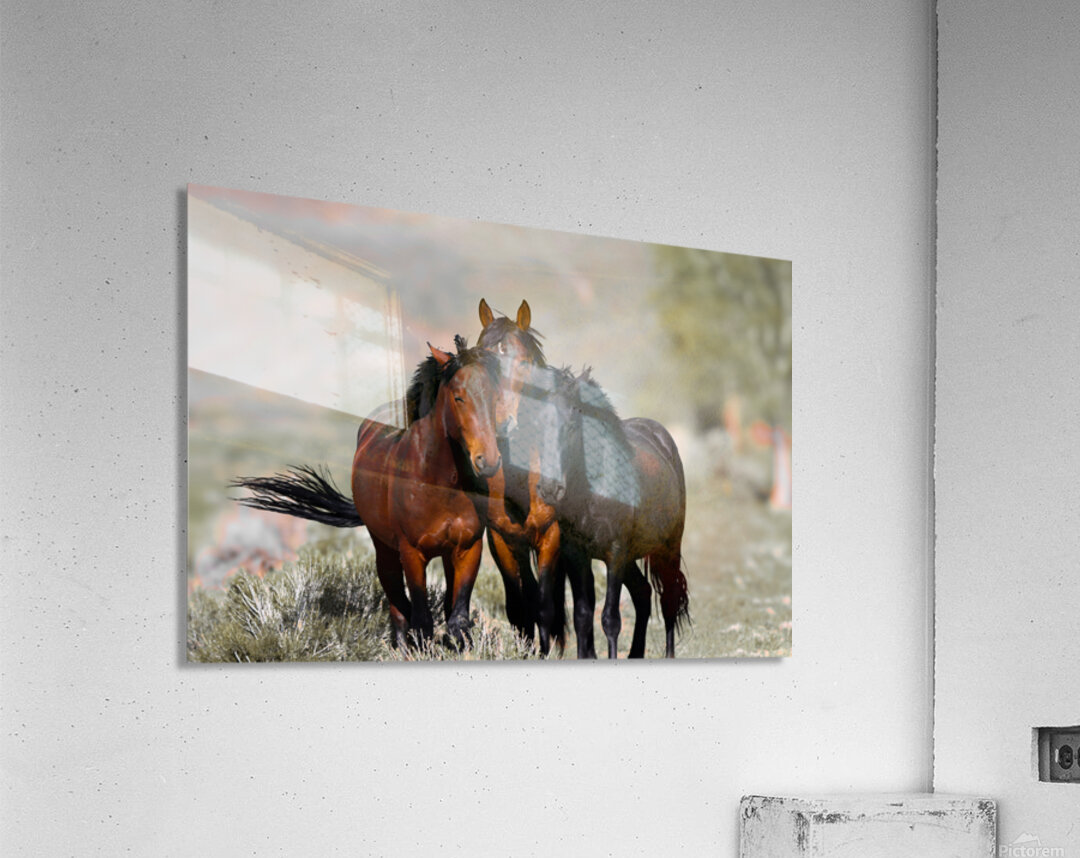 Nevada Virginia Range Series 11 Acrylic Print