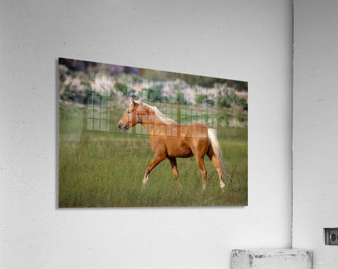 Nevada Virginia Range Series 12 Acrylic Print