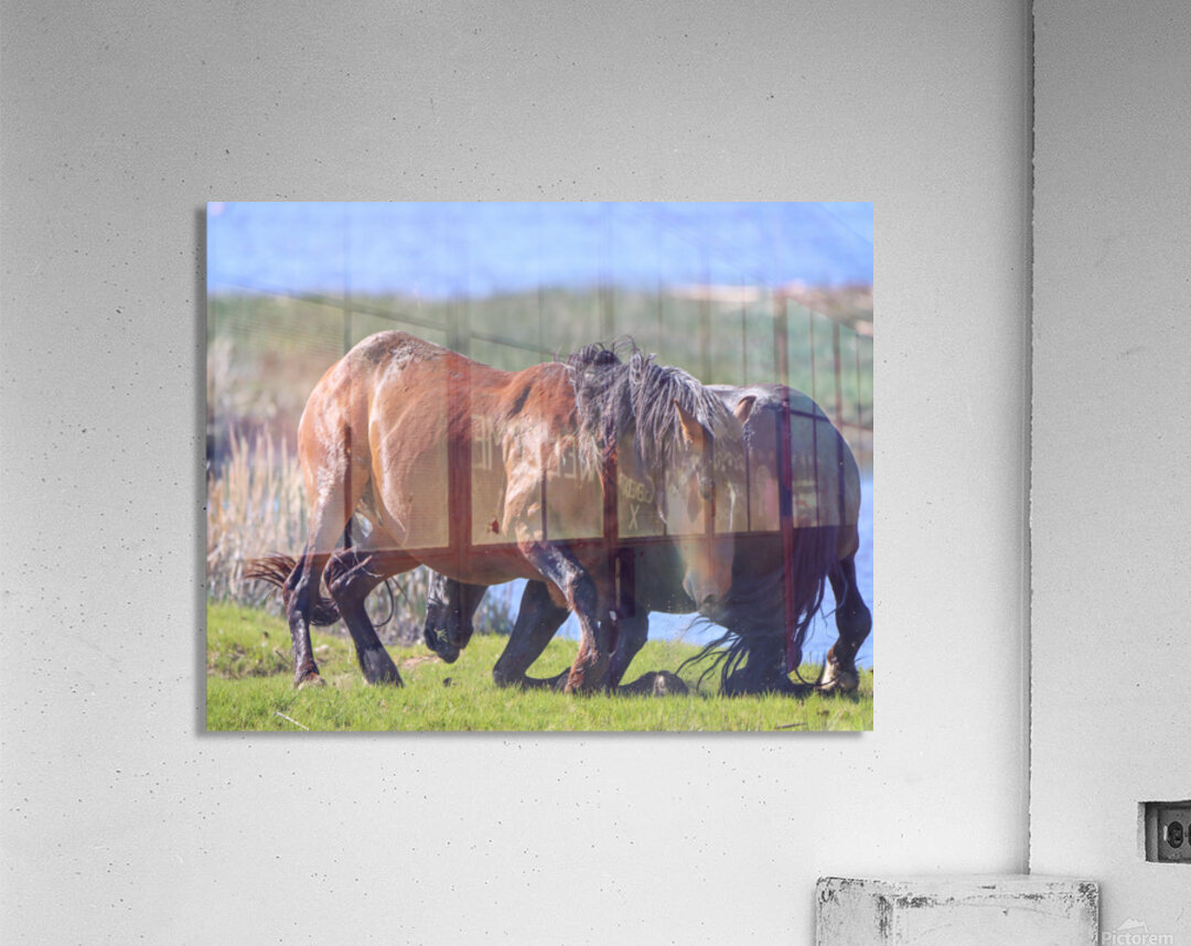 Nevada Virginia Range Series 13 Acrylic Print