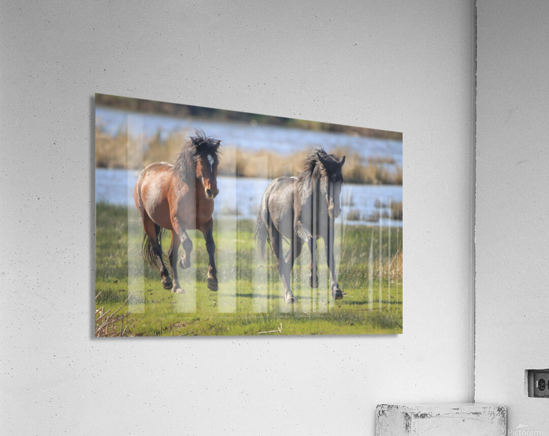 Nevada Virginia Range Series 14 Acrylic Print