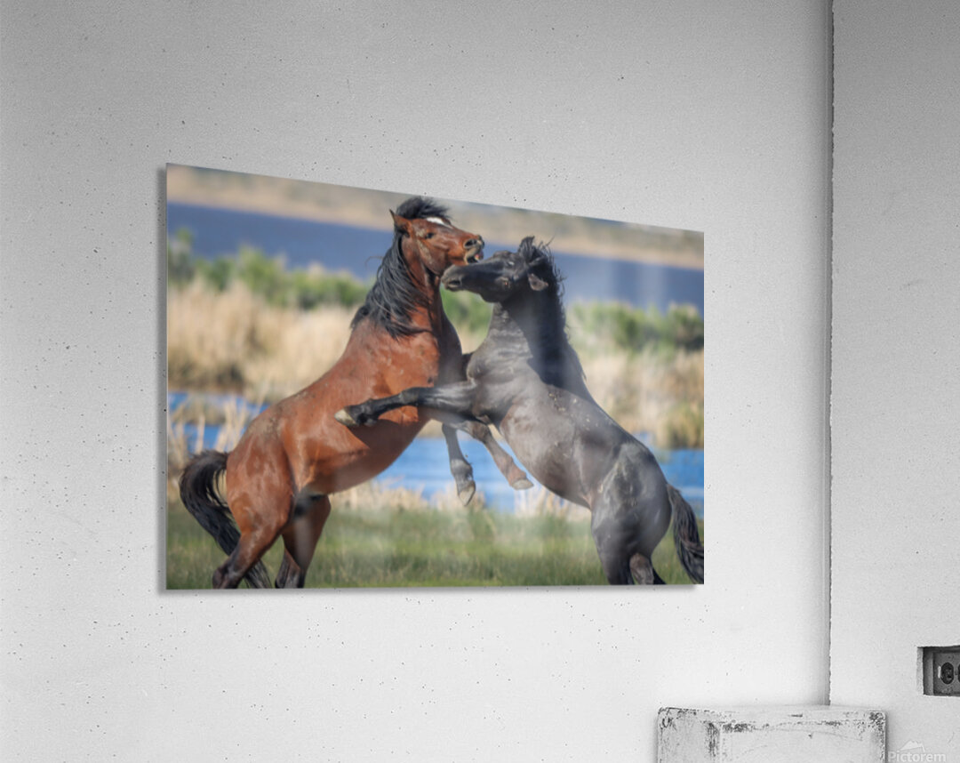 Nevada Virginia Range Series 16 Acrylic Print