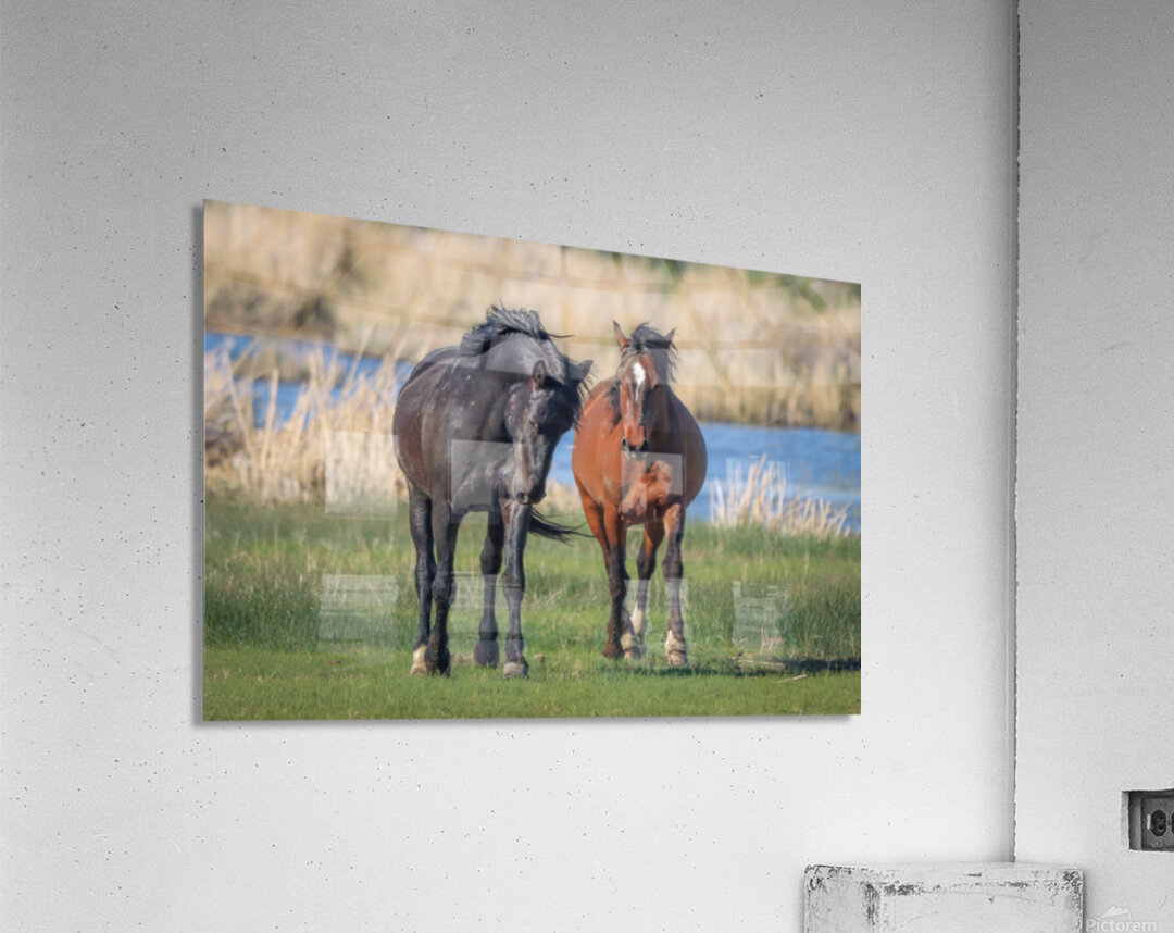 Nevada Virginia Range Series 19 Acrylic Print