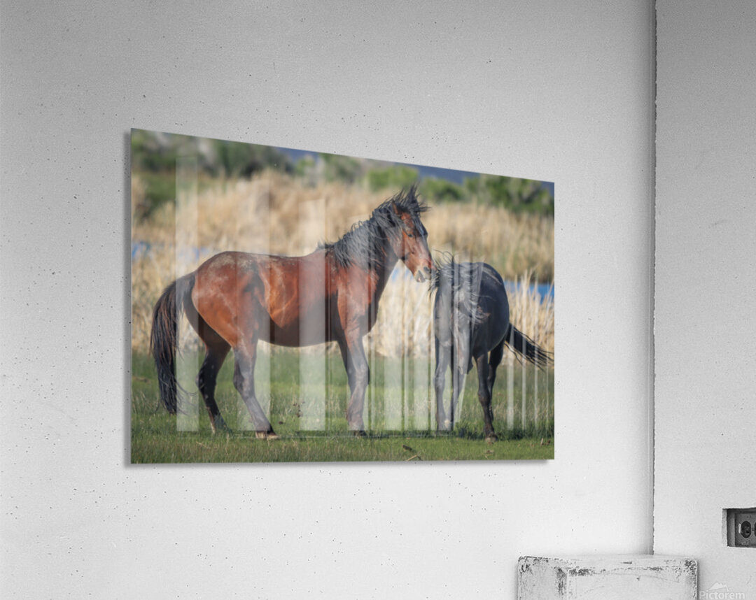 Nevada Virginia Range Series 20 Acrylic Print